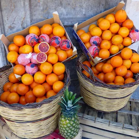 Apartmán Casa Sicana *