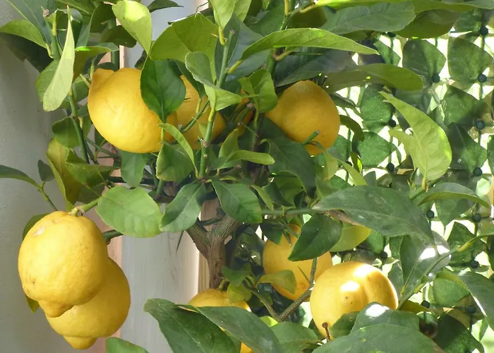 شقة Casa Sicana *