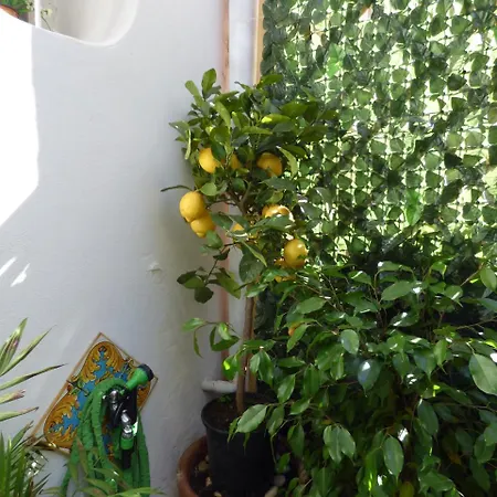 Casa Sicana Appartamento